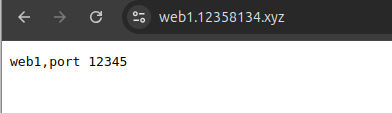 web1访问测试